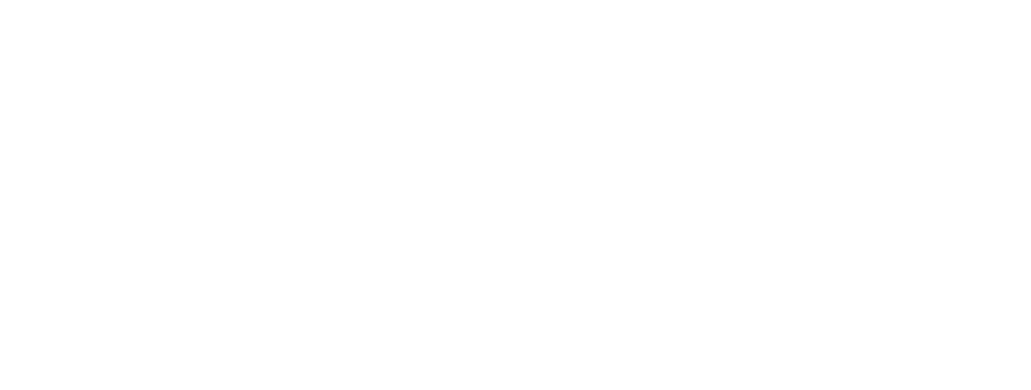 Logo BOSS
